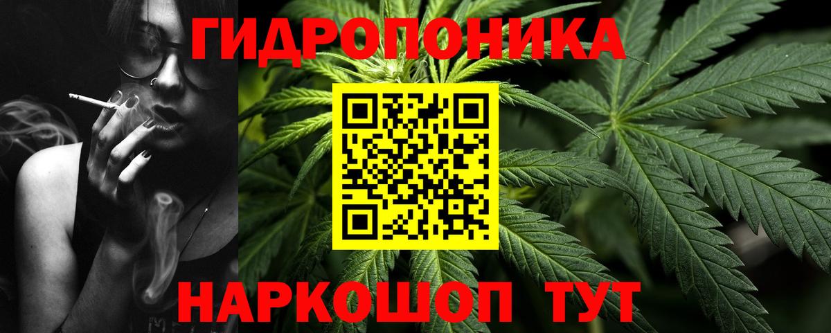 Канабис сатива  Бошки Шишки OG Kush  Вход с VPN  Ковров 